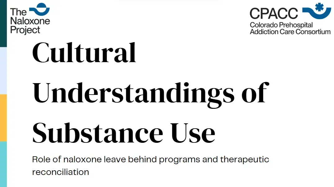 Cultural Understandings of Substance Use